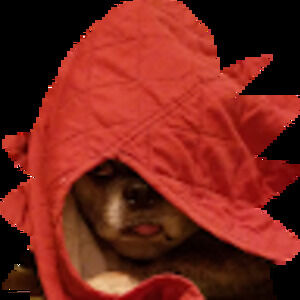 Meet your Posher, Clinton